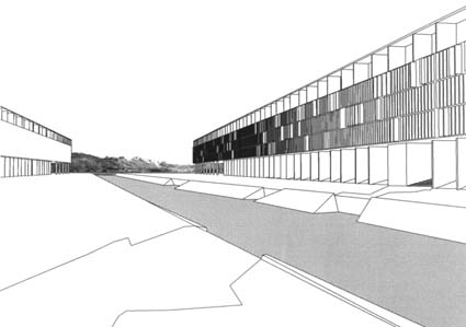 diplom1